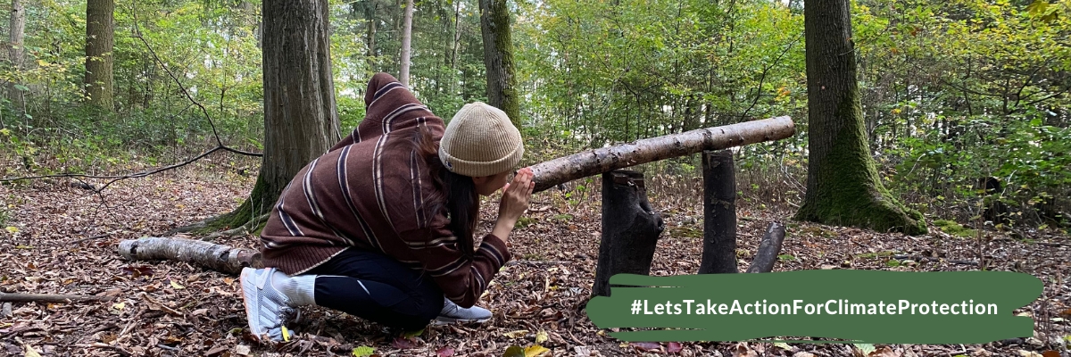 International Forest Day - how you can get active